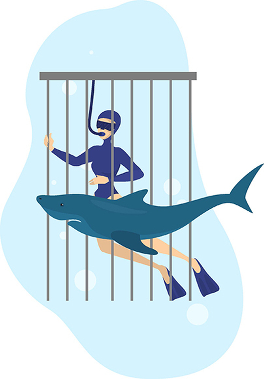 Illustration of female diver in sharkcage